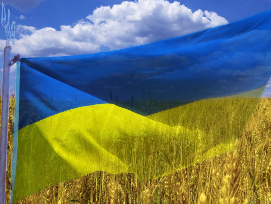 Юшков: Россия будет поставлять топливо на Украину при соблюдении некоторых условий