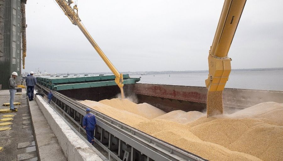 В МИД России заявили об условиях возврата к «зерновой сделке» Украины