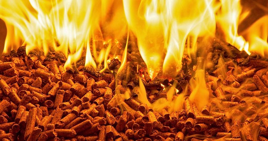 Польша и Литва скупают древесное топливо в Беларуси ради независимости от газа из России