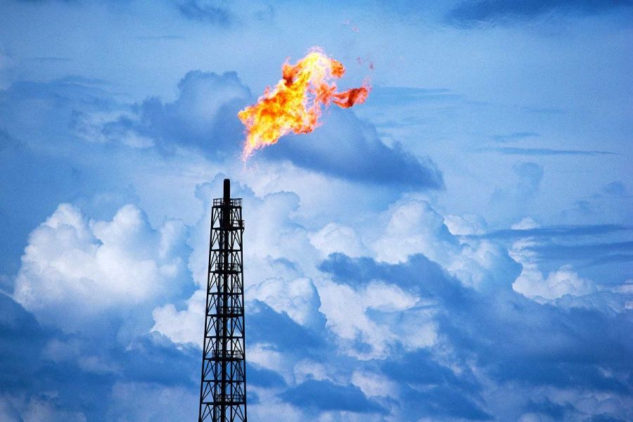 Панкин: Высокая стоимость газа не выгодна для производителей