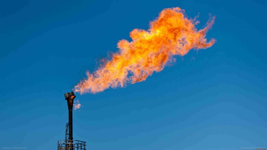 Германия и Нидерланды поддержали отбор газа из немецких газовых хранилищ «Газпромом»